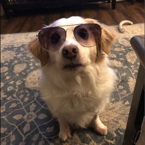 Meet your Posher, Della